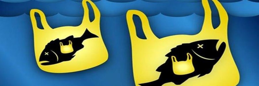 Free Bag World Day Save our Seas